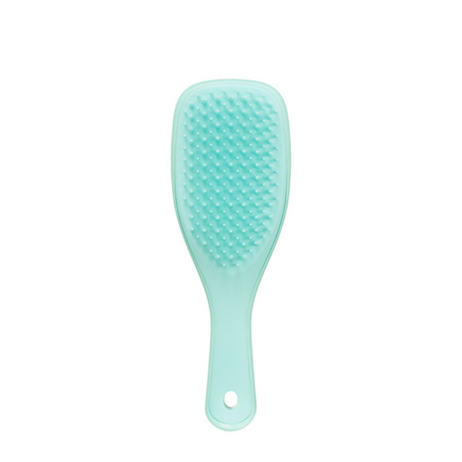 Tangle Teezer Mini Detangling Brush Aqua Green